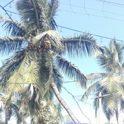 ���������� �����, ���� ������� Andrej, 36 ���, ������������ ��� ������, ����� � ���������, c�������� ���������