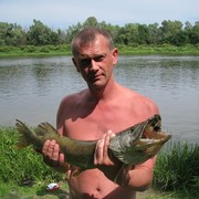  ,   , 51 ,   