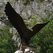  Herzogenrath,  , 35