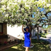 ���������� �����������, ���� ������� ����, 31 ���, ������������ ��� ����� � ���������, c�������� ���������