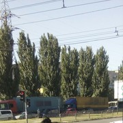 ���������� ��������������, ���� ������� ������, 48 ���, ������������ ��� ����� � ���������, c�������� ���������