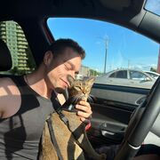 ���������� ���������, ���� ������� ������, 29 ���, ������������ ��� c�������� ���������