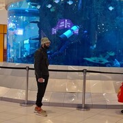 ���������� ������������, ���� ������� Temur, 27 ���, ������������ ��� ������, ����� � ���������