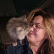 ���������� ������, ���� ������� �������, 50 ���, ������������ ��� ������, ����� � ���������, c�������� ���������