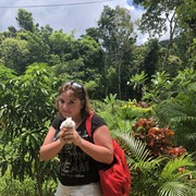 ���������� ��������, ���� ������� �������, 40 ���, ������������ ��� ������, ����� � ���������, c�������� ���������