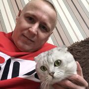  ,   , 38 ,   , 