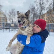 ���������� ������, ���� ������� ������, 41 ���, ������������ ��� ������