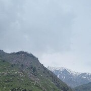  ,   Ali, 28 ,   ,   
