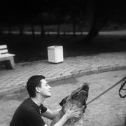  -,   , 35 ,   ,   
