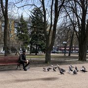 ���������� �������, ���� ������� Younis, 30 ���, ������������ ��� ������, ����� � ���������, c�������� ���������