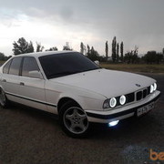 ���������� �����, ���� ������� Mukhtar, 38 ���, ������������ 