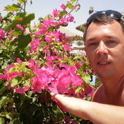 ���������� �����, ���� ������� ��������, 48 ���, ������������ ��� ������