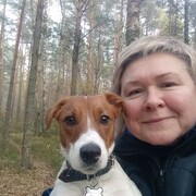 ���������� ��������, ���� ������� �����, 51 ���, ������������ ��� c�������� ���������, ���������