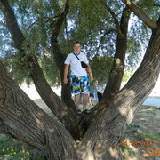 ���������� �������, ���� ������� ������, 34 ����, ������������ ��� ������