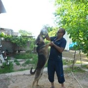 ���������� ������, ���� ������� Armen, 56 ���, ������������ ��� ������