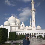 ���������� ������, ���� ������� ����, 40 ���, ������������ ��� ����� � ���������, c�������� ���������, ���������