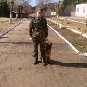 ���������� �������, ���� ������� ����, 29 ���, ������������ ��� ������, ����� � ���������, c�������� ���������