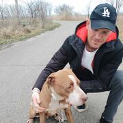 ���������� ������, ���� ������� ����, 38 ���, ������������ ��� ������, ����� � ���������