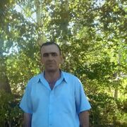 ���������� ������������, ���� ������� ����, 56 ���, ������������ ��� ������, ����� � ���������