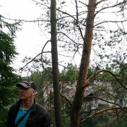  -,   , 52 ,   