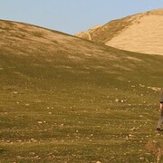 ���������� ������, ���� ������� ����, 37 ���, ������������ ��� ����� � ���������, c�������� ���������