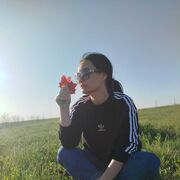  --,   , 43 ,   ,   