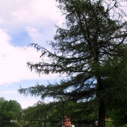 ���������� �����-���������, ���� ������� ����, 61 ���, ������������ ��� ������, ����� � ���������, c�������� ���������