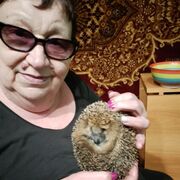 ���������� �������, ���� ������� ���������, 67 ���, ������������ ��� ������, ����� � ���������