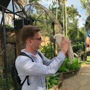 ���������� ������������, ���� ������� ���������, 36 ���, ������������ ��� ������, ����� � ���������