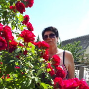  ,   , 63 ,   ,   , c , 