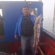  ,   Ramiz, 47 ,  
