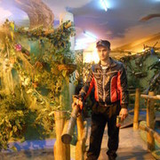 ���������� ������, ���� ������� ����, 43 ����, ������������ ��� ������