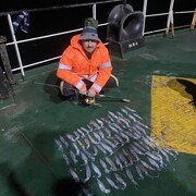 ���������� ������-��-����, ���� ������� ���������, 34 ����, ������������ ��� ������, ����� � ���������, ���������