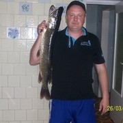 ���������� ������, ���� ������� ������, 48 ���, ������������ ��� ������, ����� � ���������, c�������� ���������