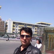  ,   Avis, 48 ,   ,   , 