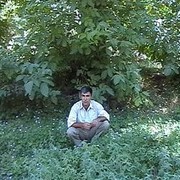  ,    , 41 ,   
