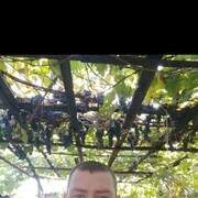 ���������� ��������, ���� ������� �������, 35 ���, ������������ ��� ������, ����� � ���������, c�������� ���������, ���������