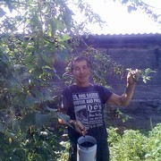 ���������� ����, ���� ������� ������, 69 ���, ������������ ��� ������, ����� � ���������, c�������� ���������