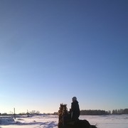  ,   , 50 ,  