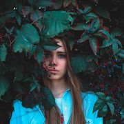  ,   , 29 ,   ,   , c 