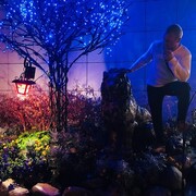 ���������� �������, ���� ������� ������, 35 ���, ������������ ��� ������, ����� � ���������, c�������� ���������