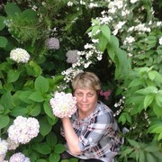 ���������� �������, ���� ������� ����, 66 ���, ������������ ��� ������, ����� � ���������, c�������� ���������