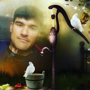  ,   BEHRUZ, 35 ,   ,   , c 