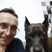  -,   , 49 ,   ,   