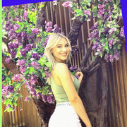 ���������� ����������, ���������