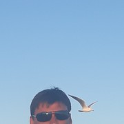  ,   , 53 ,  