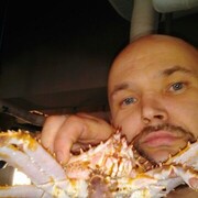 ���������� ��������, ���� ������� ����������, 44 ����, ������������ ��� ������, ����� � ���������