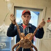 ���������� ������, ���� ������� �������, 41 ���, ������������ ��� ������, ����� � ���������