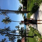 ���������� �������, ���� ������� �������, 40 ���, ������������ ��� ������, ����� � ���������, c�������� ���������