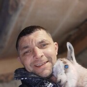  -,   , 40 ,   ,   